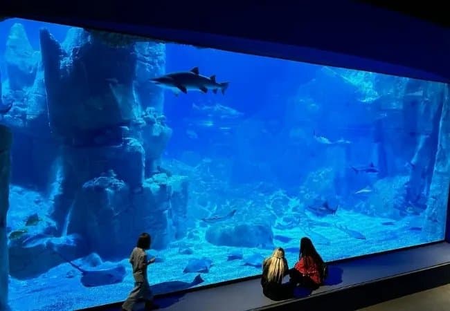 İstanbul Aquarium & Aqua Florya
