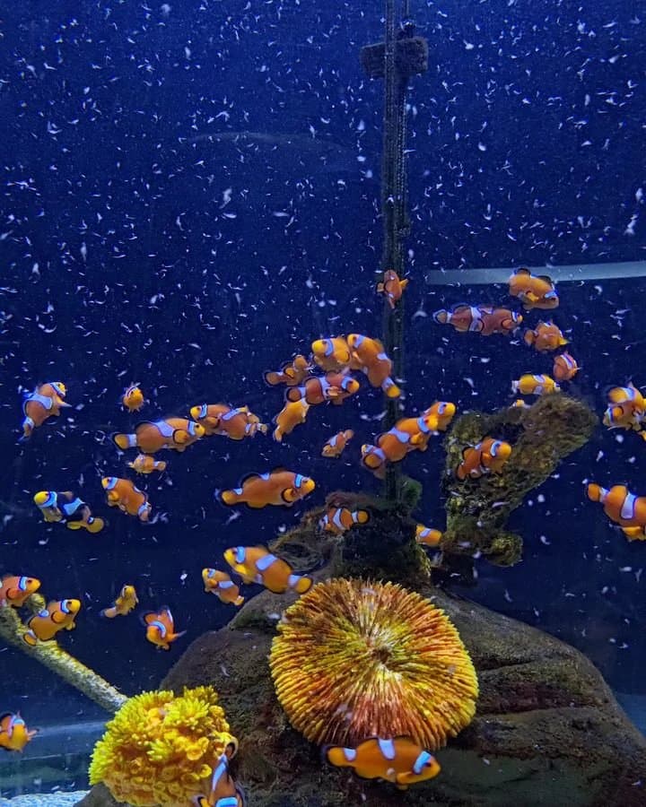 İstanbul Aquarium & Aqua Florya — Bedroom
