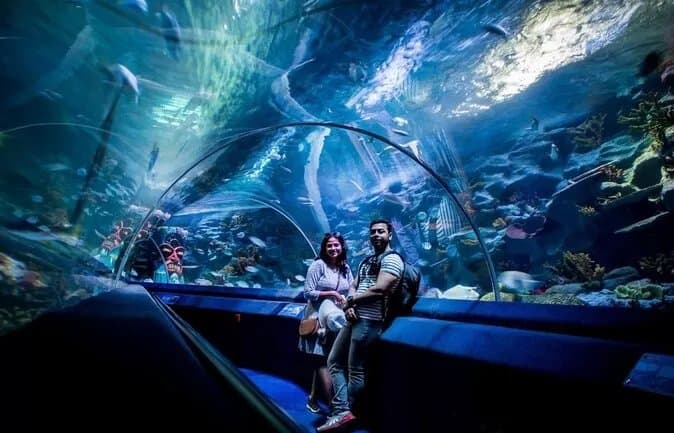 İstanbul Aquarium & Aqua Florya — Bathroom