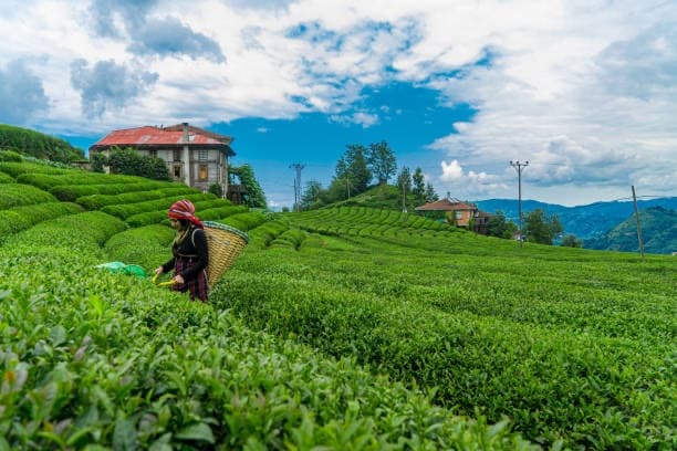Trabzon Package 2026 — photo 4